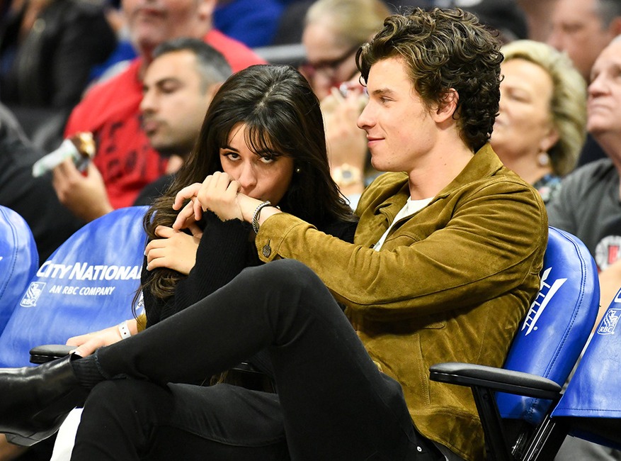 Shawn Mendes, Camila Cabello